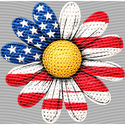 USA-MG 3790